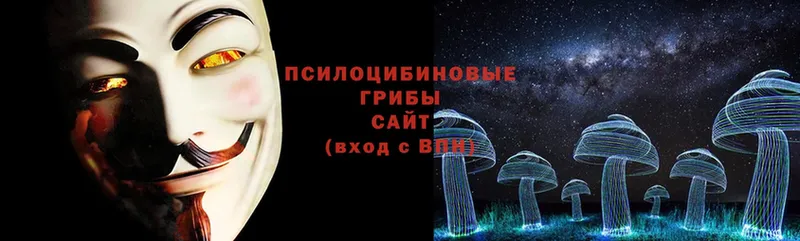 дарнет шоп  Уфа  Галлюциногенные грибы Psilocybine cubensis 